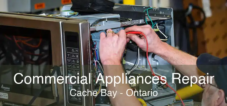 Commercial Appliances Repair Cache Bay - Ontario