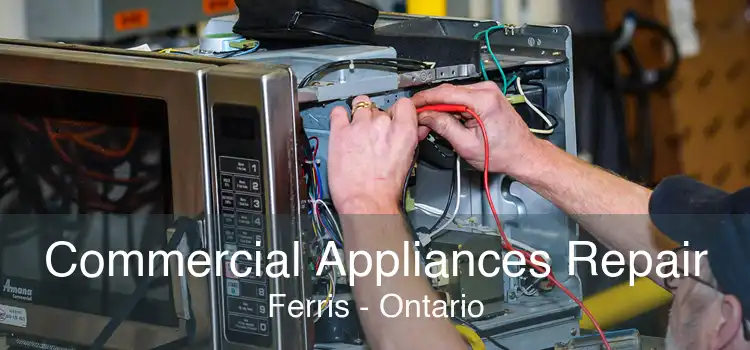 Commercial Appliances Repair Ferris - Ontario