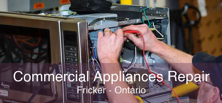 Commercial Appliances Repair Fricker - Ontario