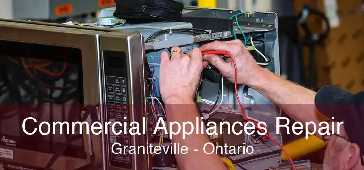 Commercial Appliances Repair Graniteville - Ontario
