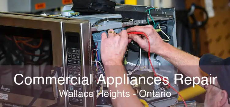 Commercial Appliances Repair Wallace Heights - Ontario