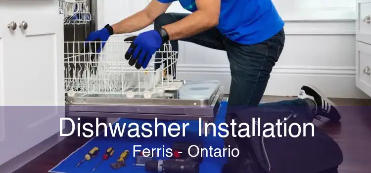 Dishwasher Installation Ferris - Ontario