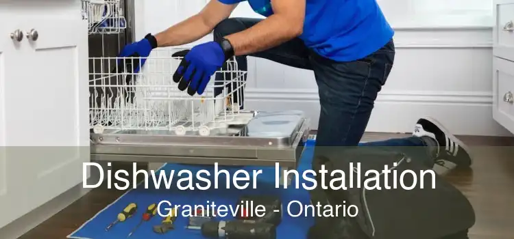Dishwasher Installation Graniteville - Ontario
