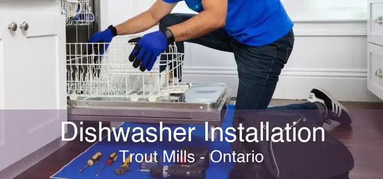 Dishwasher Installation Trout Mills - Ontario