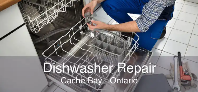 Dishwasher Repair Cache Bay - Ontario