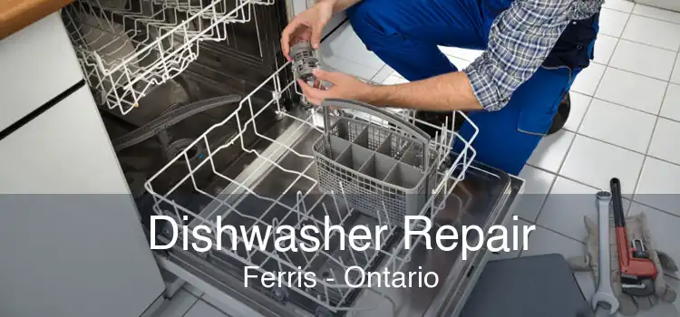 Dishwasher Repair Ferris - Ontario