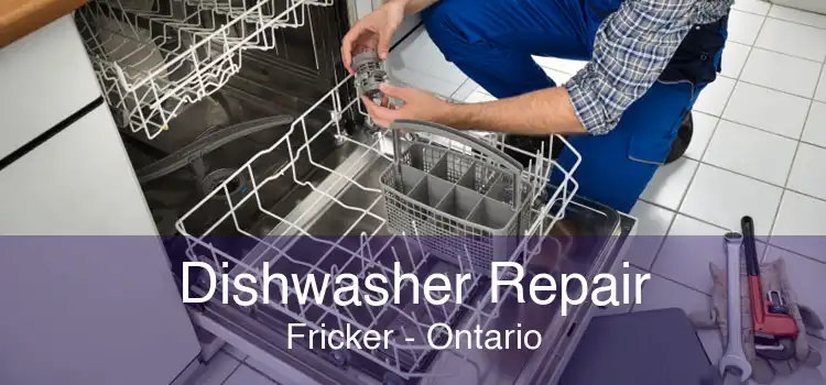 Dishwasher Repair Fricker - Ontario