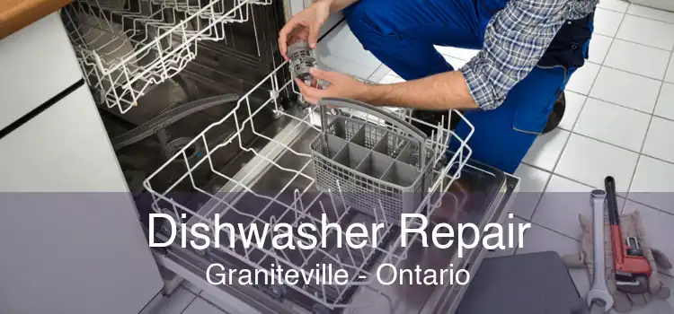 Dishwasher Repair Graniteville - Ontario