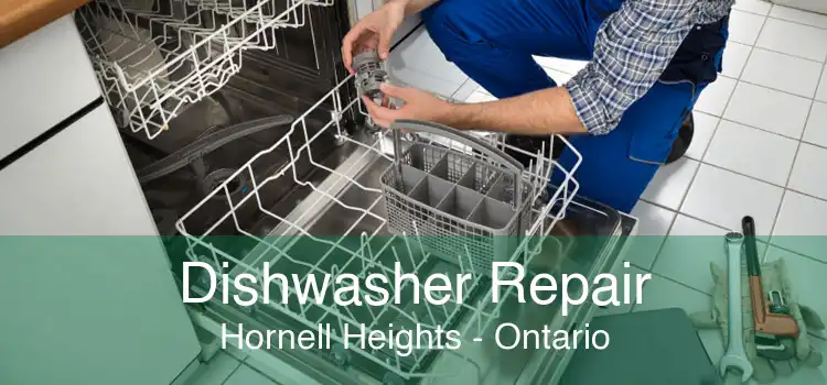 Dishwasher Repair Hornell Heights - Ontario