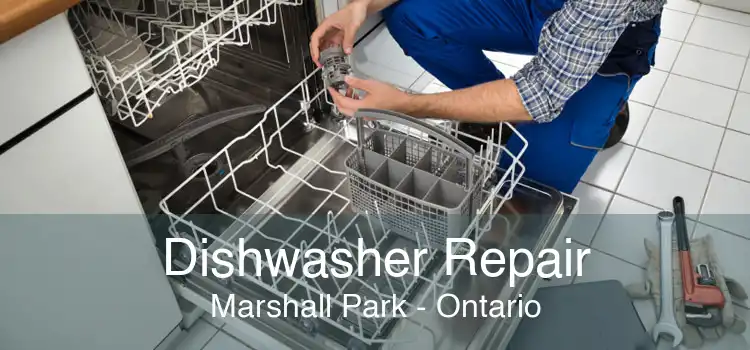 Dishwasher Repair Marshall Park - Ontario