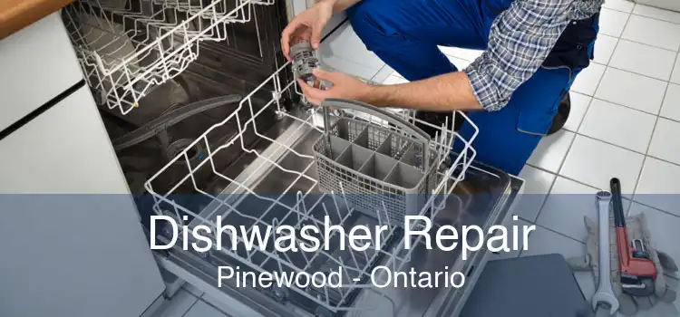 Dishwasher Repair Pinewood - Ontario