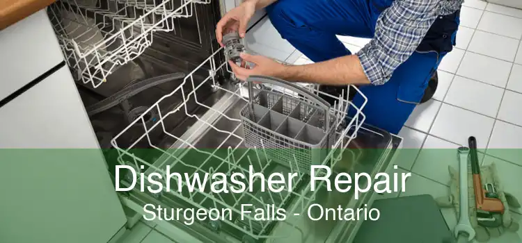 Dishwasher Repair Sturgeon Falls - Ontario