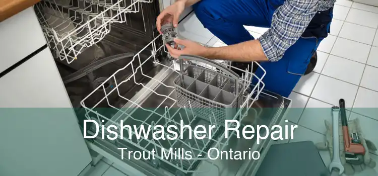 Dishwasher Repair Trout Mills - Ontario