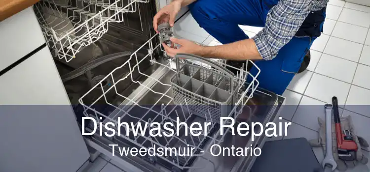 Dishwasher Repair Tweedsmuir - Ontario