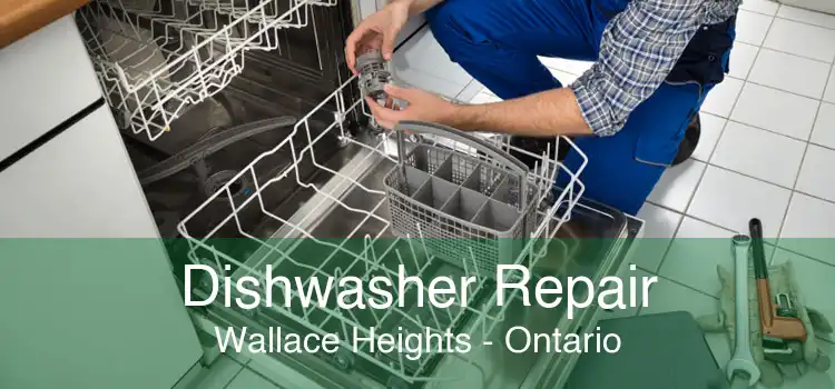 Dishwasher Repair Wallace Heights - Ontario