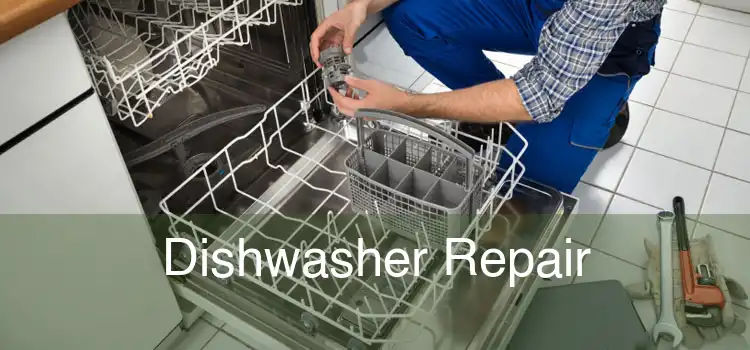 Dishwasher Repair 