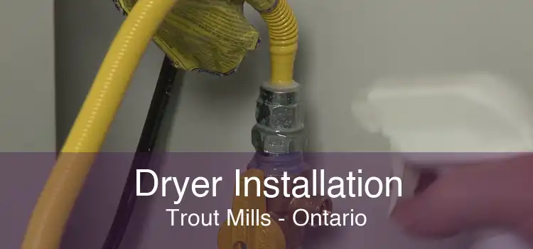 Dryer Installation Trout Mills - Ontario