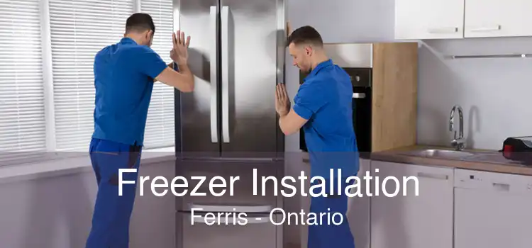 Freezer Installation Ferris - Ontario
