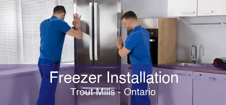 Freezer Installation Trout Mills - Ontario