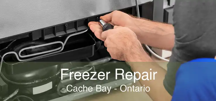 Freezer Repair Cache Bay - Ontario