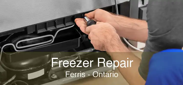 Freezer Repair Ferris - Ontario