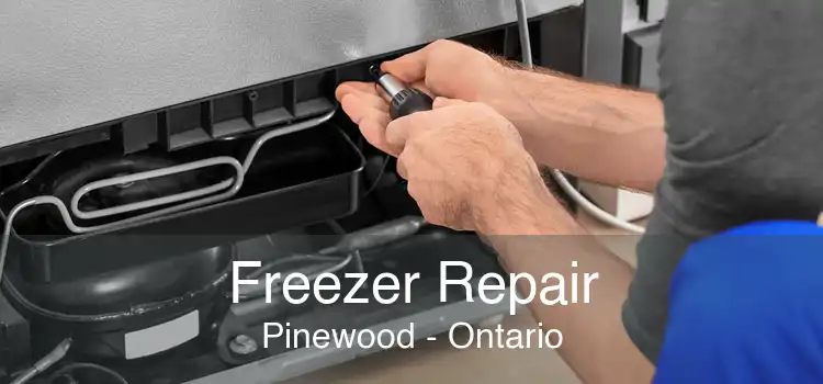 Freezer Repair Pinewood - Ontario