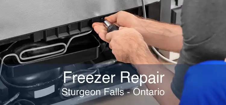 Freezer Repair Sturgeon Falls - Ontario