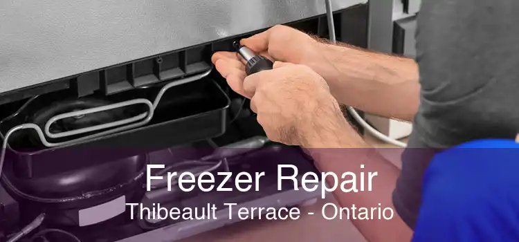 Freezer Repair Thibeault Terrace - Ontario