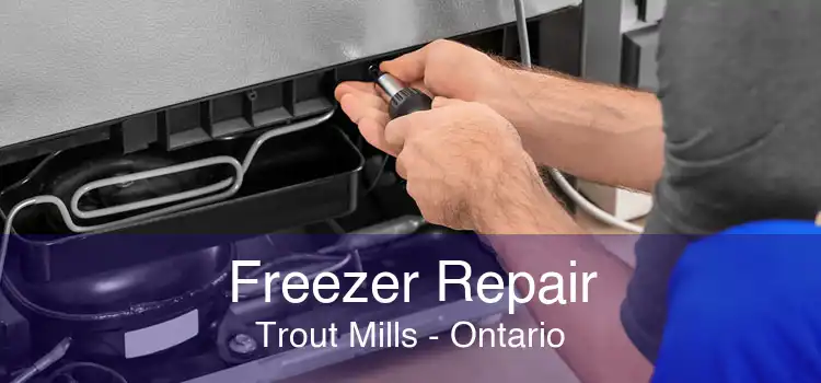 Freezer Repair Trout Mills - Ontario