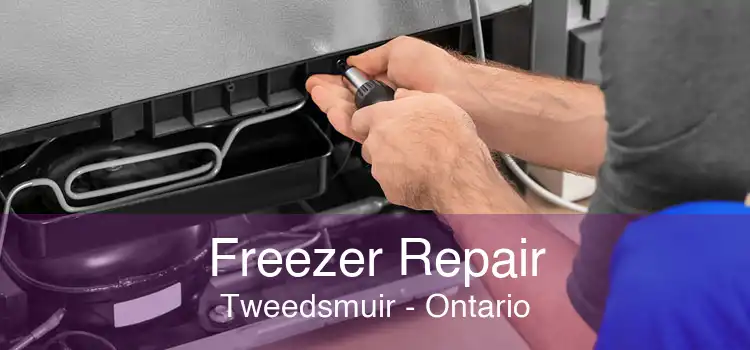 Freezer Repair Tweedsmuir - Ontario