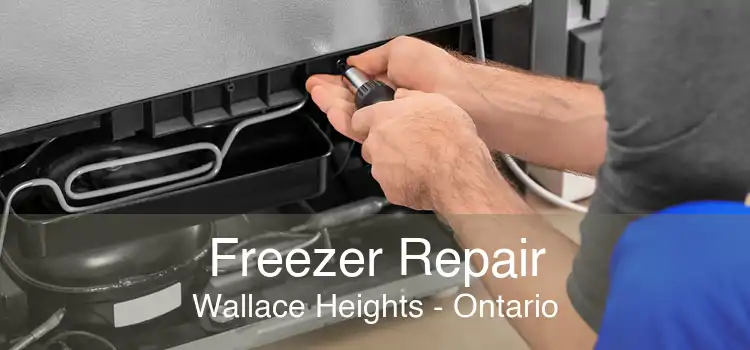 Freezer Repair Wallace Heights - Ontario