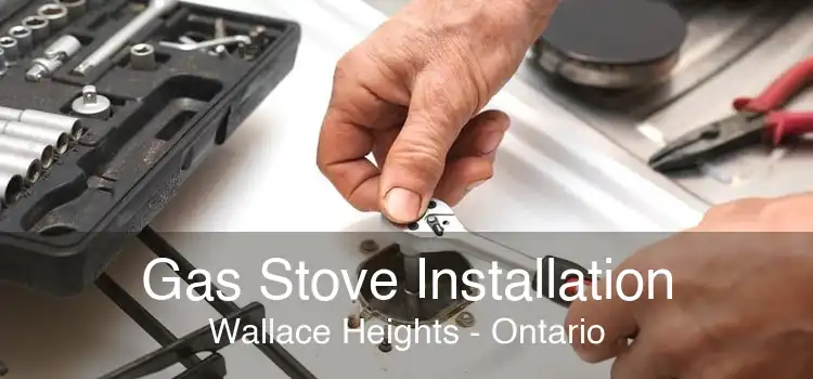 Gas Stove Installation Wallace Heights - Ontario