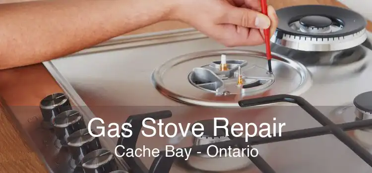 Gas Stove Repair Cache Bay - Ontario