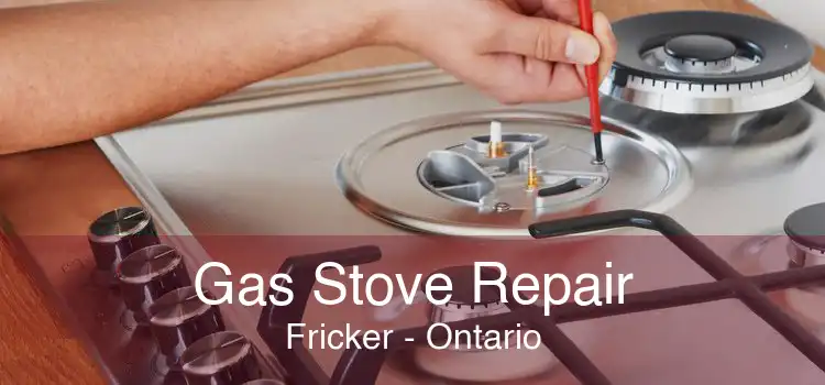 Gas Stove Repair Fricker - Ontario