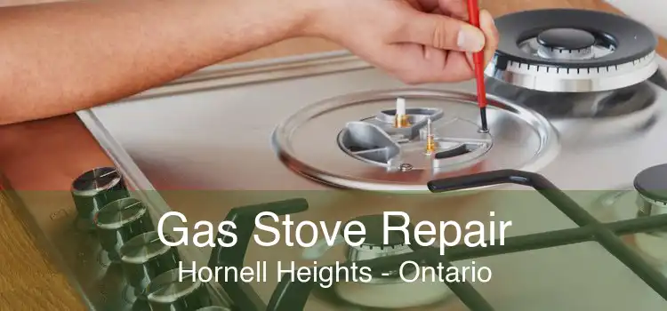 Gas Stove Repair Hornell Heights - Ontario