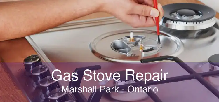 Gas Stove Repair Marshall Park - Ontario