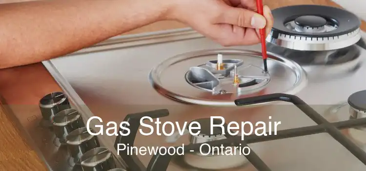 Gas Stove Repair Pinewood - Ontario