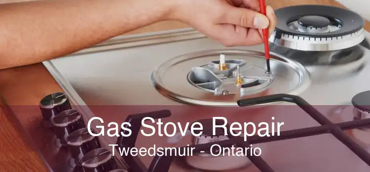 Gas Stove Repair Tweedsmuir - Ontario