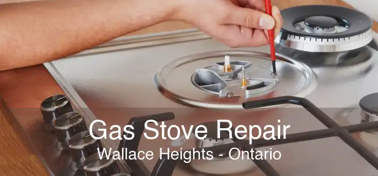 Gas Stove Repair Wallace Heights - Ontario