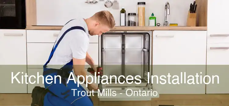 Kitchen Appliances Installation Trout Mills - Ontario