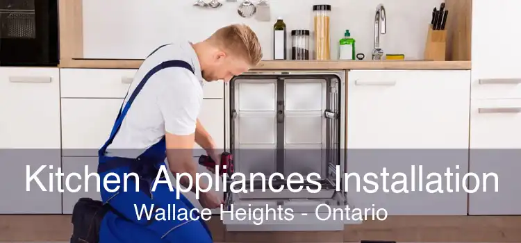Kitchen Appliances Installation Wallace Heights - Ontario