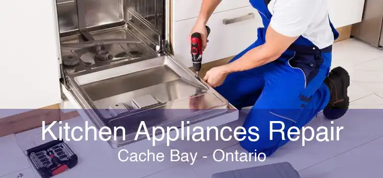 Kitchen Appliances Repair Cache Bay - Ontario