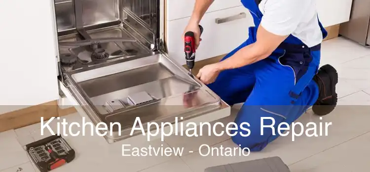 Kitchen Appliances Repair Eastview - Ontario