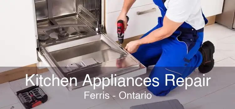 Kitchen Appliances Repair Ferris - Ontario