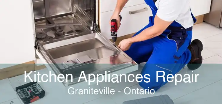Kitchen Appliances Repair Graniteville - Ontario