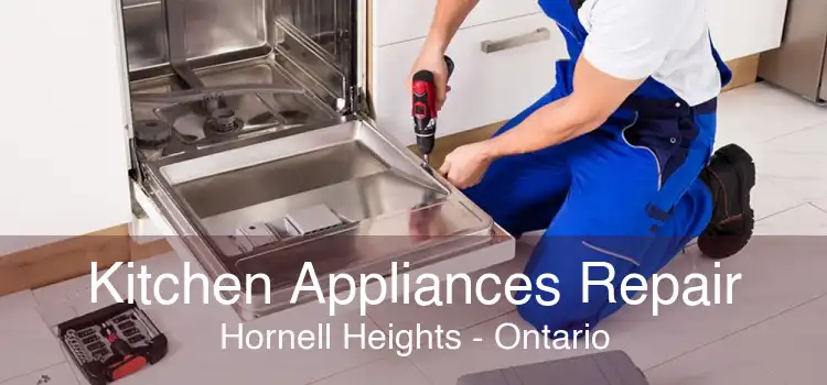 Kitchen Appliances Repair Hornell Heights - Ontario