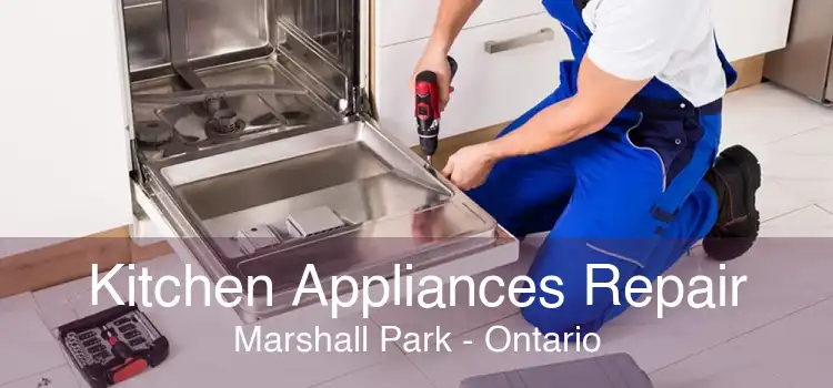 Kitchen Appliances Repair Marshall Park - Ontario