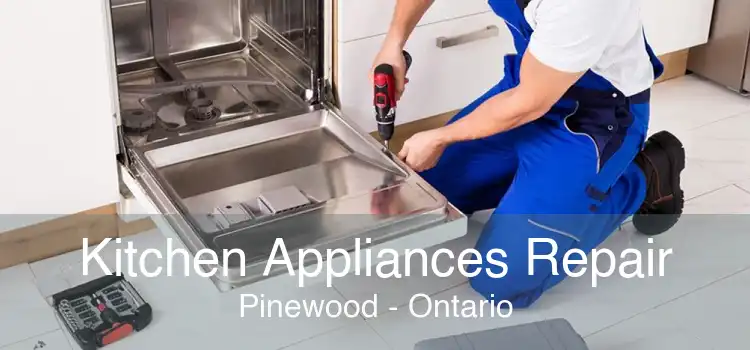 Kitchen Appliances Repair Pinewood - Ontario