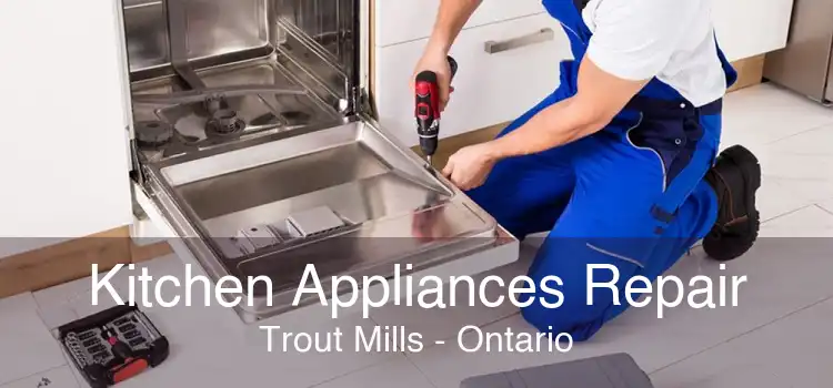 Kitchen Appliances Repair Trout Mills - Ontario