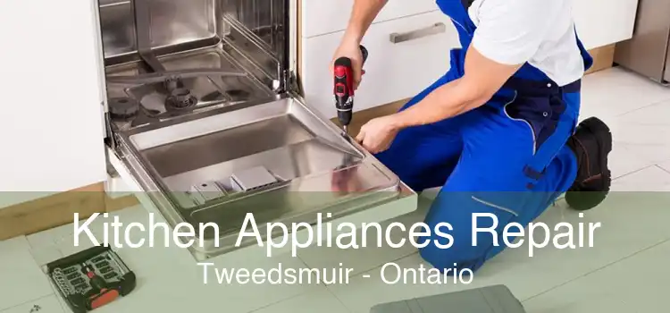 Kitchen Appliances Repair Tweedsmuir - Ontario